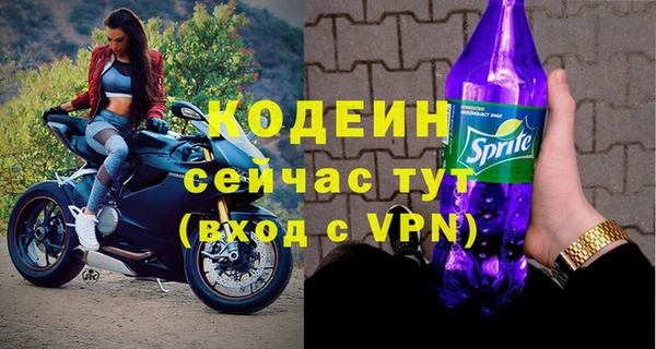 ПСИЛОЦИБИНОВЫЕ ГРИБЫ Гусев