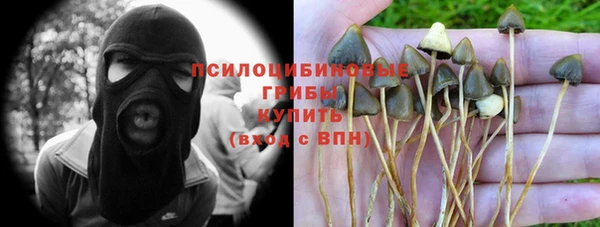 ECSTASY Дмитриев