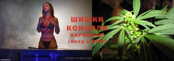 ECSTASY Дмитриев