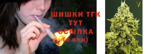 прущие грибы Гусиноозёрск