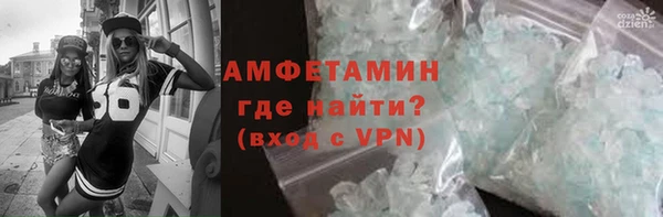 прущие грибы Гусиноозёрск