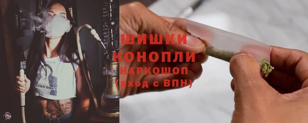 прущие грибы Гусиноозёрск