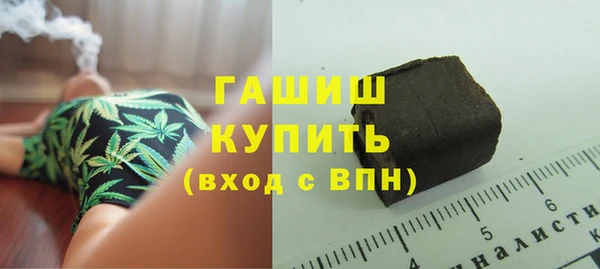 прущие грибы Гусиноозёрск