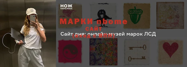 прущие грибы Гусиноозёрск