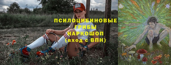 прущие грибы Гусиноозёрск