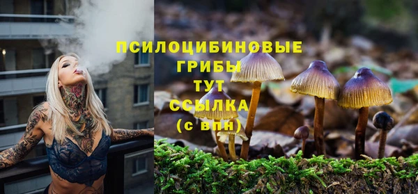 ПСИЛОЦИБИНОВЫЕ ГРИБЫ Гусев