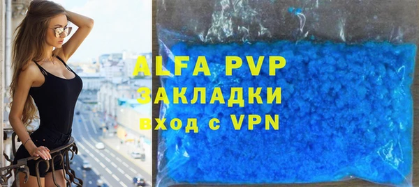 прущие грибы Гусиноозёрск