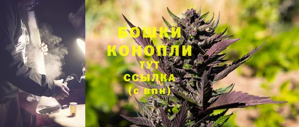 прущие грибы Гусиноозёрск