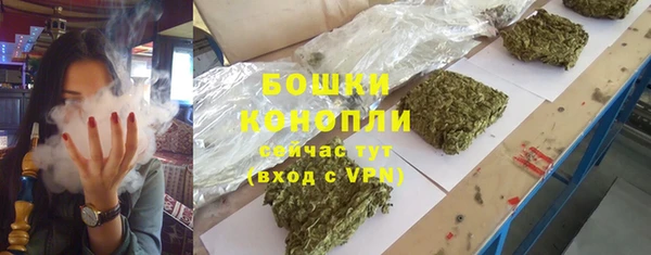 ПСИЛОЦИБИНОВЫЕ ГРИБЫ Гусев