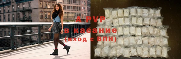 прущие грибы Гусиноозёрск