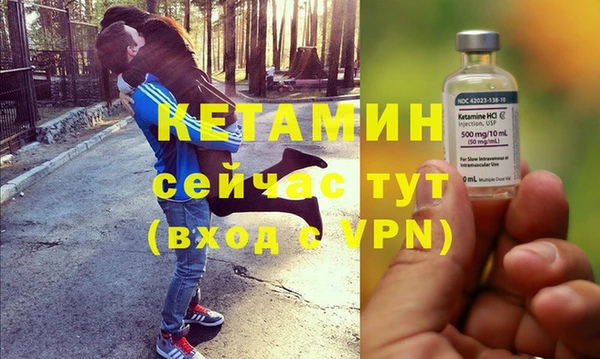 прущие грибы Гусиноозёрск